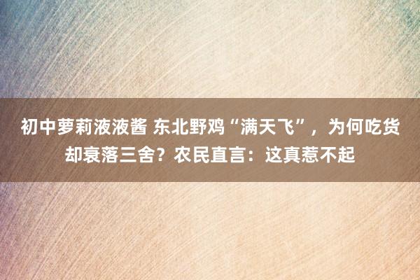 初中萝莉液液酱 东北野鸡“满天飞”，为何吃货却衰落三舍？农民直言：这真惹不起