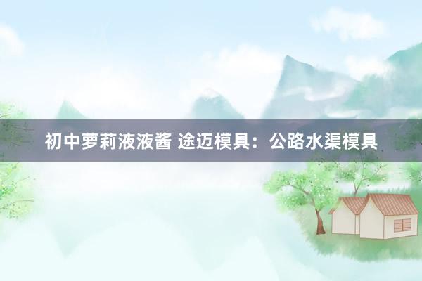 初中萝莉液液酱 途迈模具:公路水渠模具