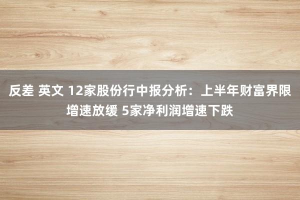反差 英文 12家股份行中报分析：上半年财富界限增速放缓 5家净利润增速下跌