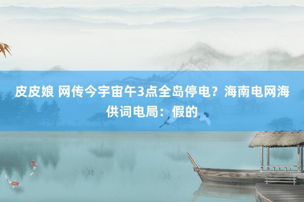 皮皮娘 网传今宇宙午3点全岛停电？海南电网海供词电局：假的