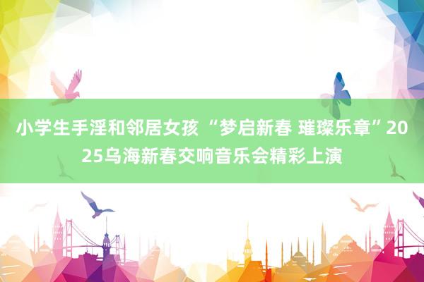 小学生手淫和邻居女孩 “梦启新春 璀璨乐章”2025乌海新春交响音乐会精彩上演