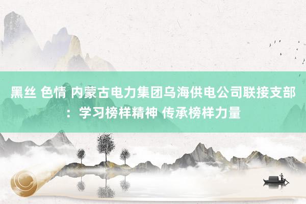 黑丝 色情 内蒙古电力集团乌海供电公司联接支部：学习榜样精神 传承榜样力量