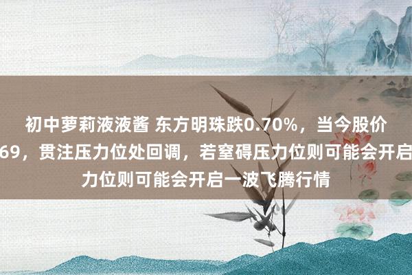 初中萝莉液液酱 东方明珠跌0.70%，当今股价集聚压力位8.69，贯注压力位处回调，若窒碍压力位则可能会开启一波飞腾行情