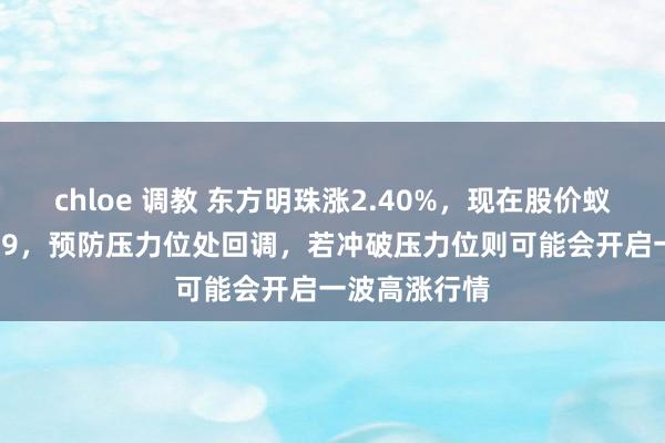 chloe 调教 东方明珠涨2.40%，现在股价蚁集压力位8.69，预防压力位处回调，若冲破压力位则可能会开启一波高涨行情
