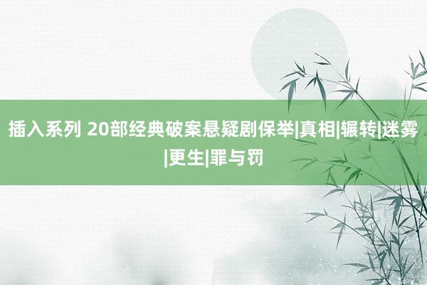 插入系列 20部经典破案悬疑剧保举|真相|辗转|迷雾|更生|罪与罚