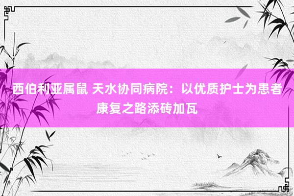 西伯利亚属鼠 天水协同病院：以优质护士为患者康复之路添砖加瓦