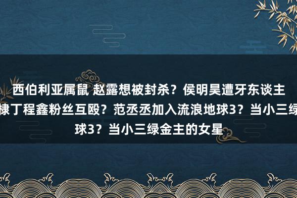 西伯利亚属鼠 赵露想被封杀？侯明昊遭牙东谈主背刺？王鹤棣丁程鑫粉丝互殴？范丞丞加入流浪地球3？当小三绿金主的女星