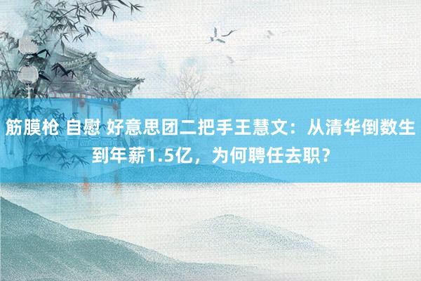 筋膜枪 自慰 好意思团二把手王慧文：从清华倒数生到年薪1.5亿，为何聘任去职？