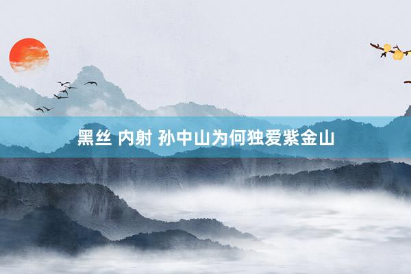 黑丝 内射 孙中山为何独爱紫金山