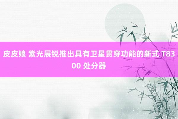 皮皮娘 紫光展锐推出具有卫星贯穿功能的新式 T8300 处分器