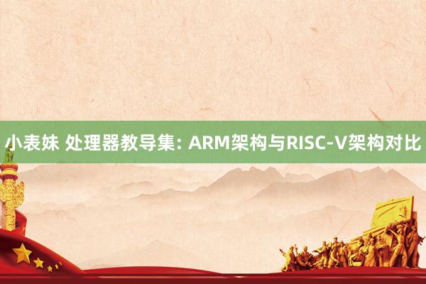 小表妹 处理器教导集: ARM架构与RISC-V架构对比