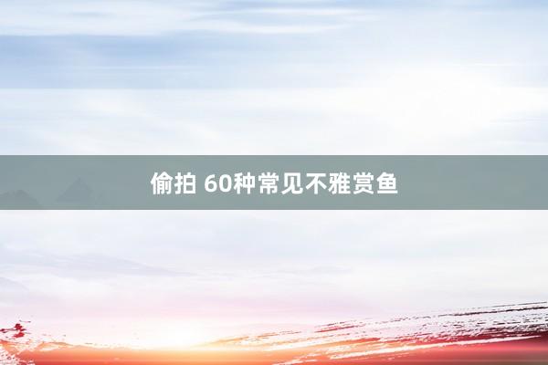 偷拍 60种常见不雅赏鱼