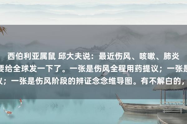 西伯利亚属鼠 邱大夫说：最近伤风、咳嗽、肺炎跋扈。嗅觉这两幅图又要给全球发一下了。一张是伤风全程用药提议；一张是伤风阶段的辨证念念维导图。有不解白的，请在批驳区留言。