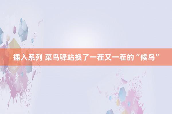 插入系列 菜鸟驿站换了一茬又一茬的“候鸟”
